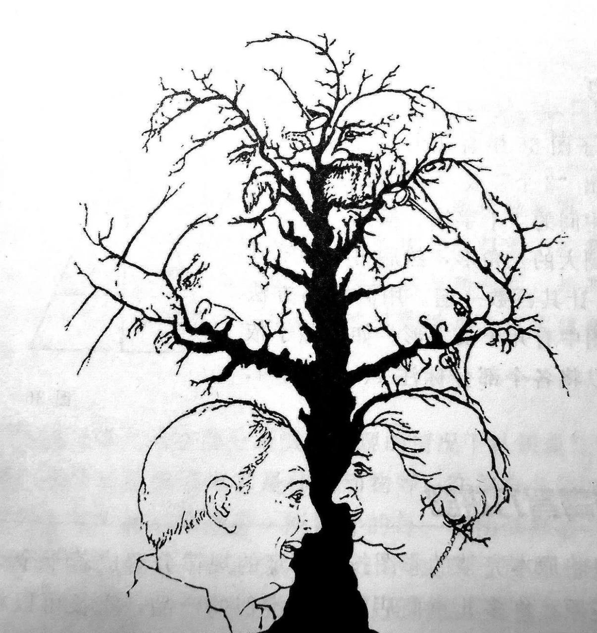 一幅画,测智商,看看你的智商有多高? 看见多少张人脸?