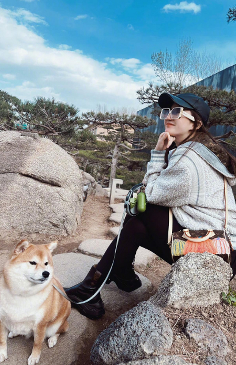 刘亦菲遛狗照,美女和柴犬!