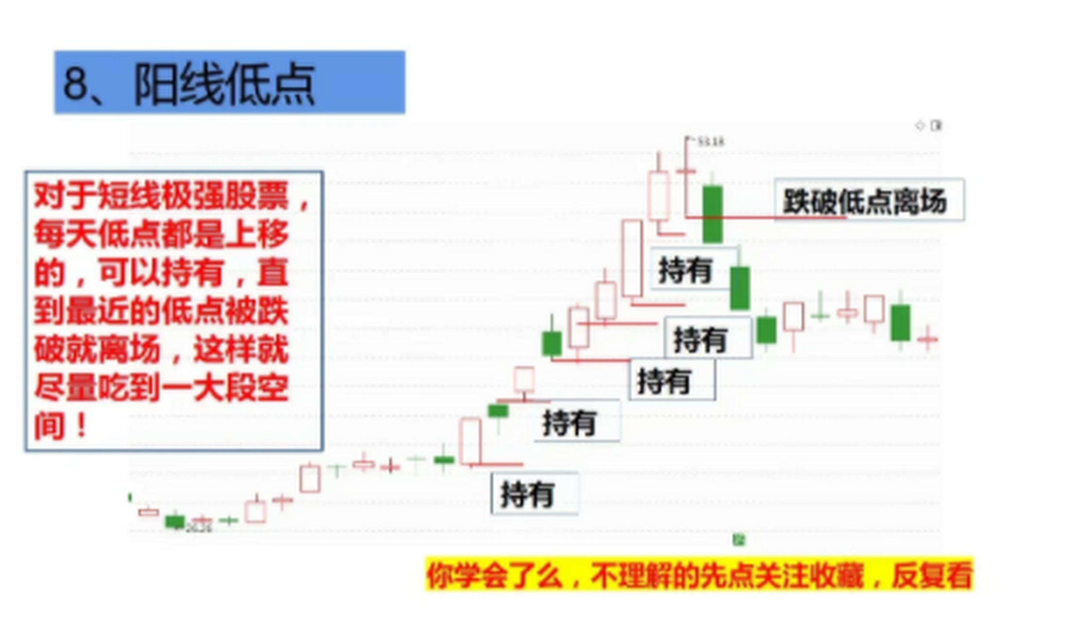 死蜘蛛形态图解图片