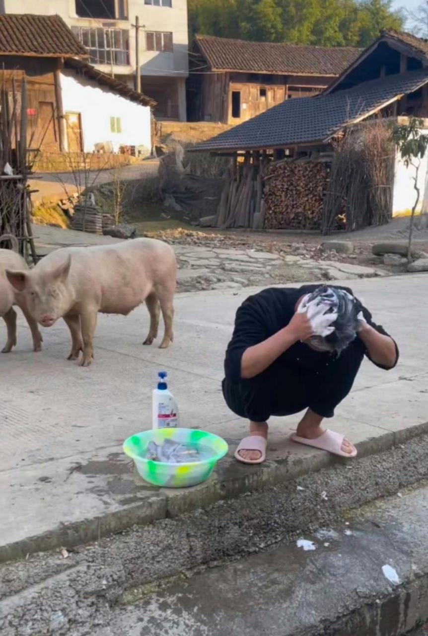 它俩这是看啥呢?没见过洗头吗 #搞笑趣味图