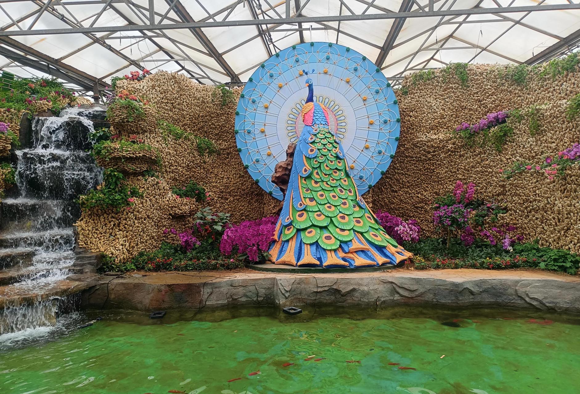 2013年到2023,相隔十年,再见寿光菜博会.