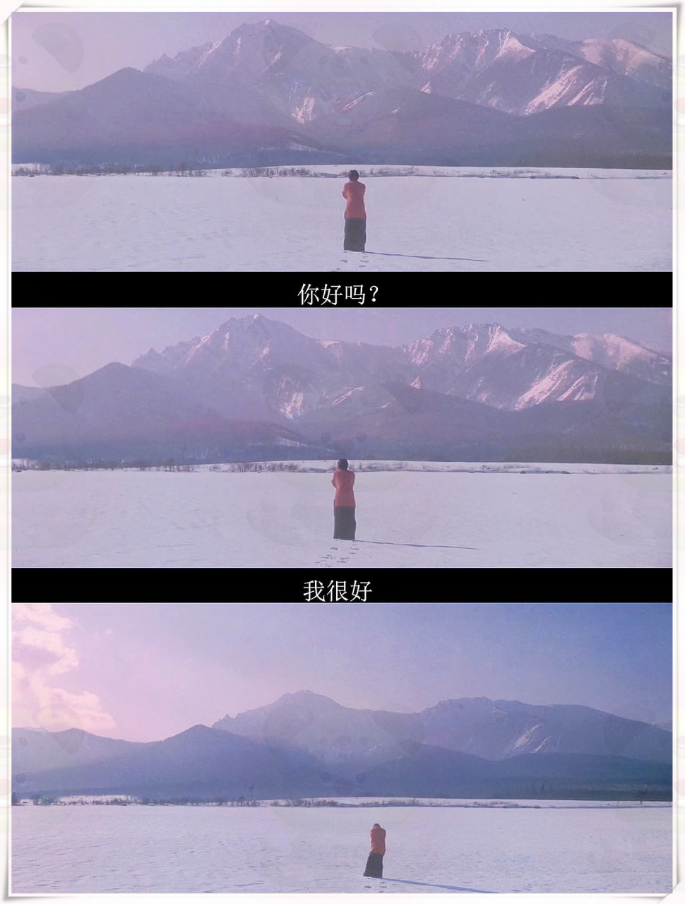 后劲好大 冬天最爱的电影,没有之一  《情书》❤️这是一部充满