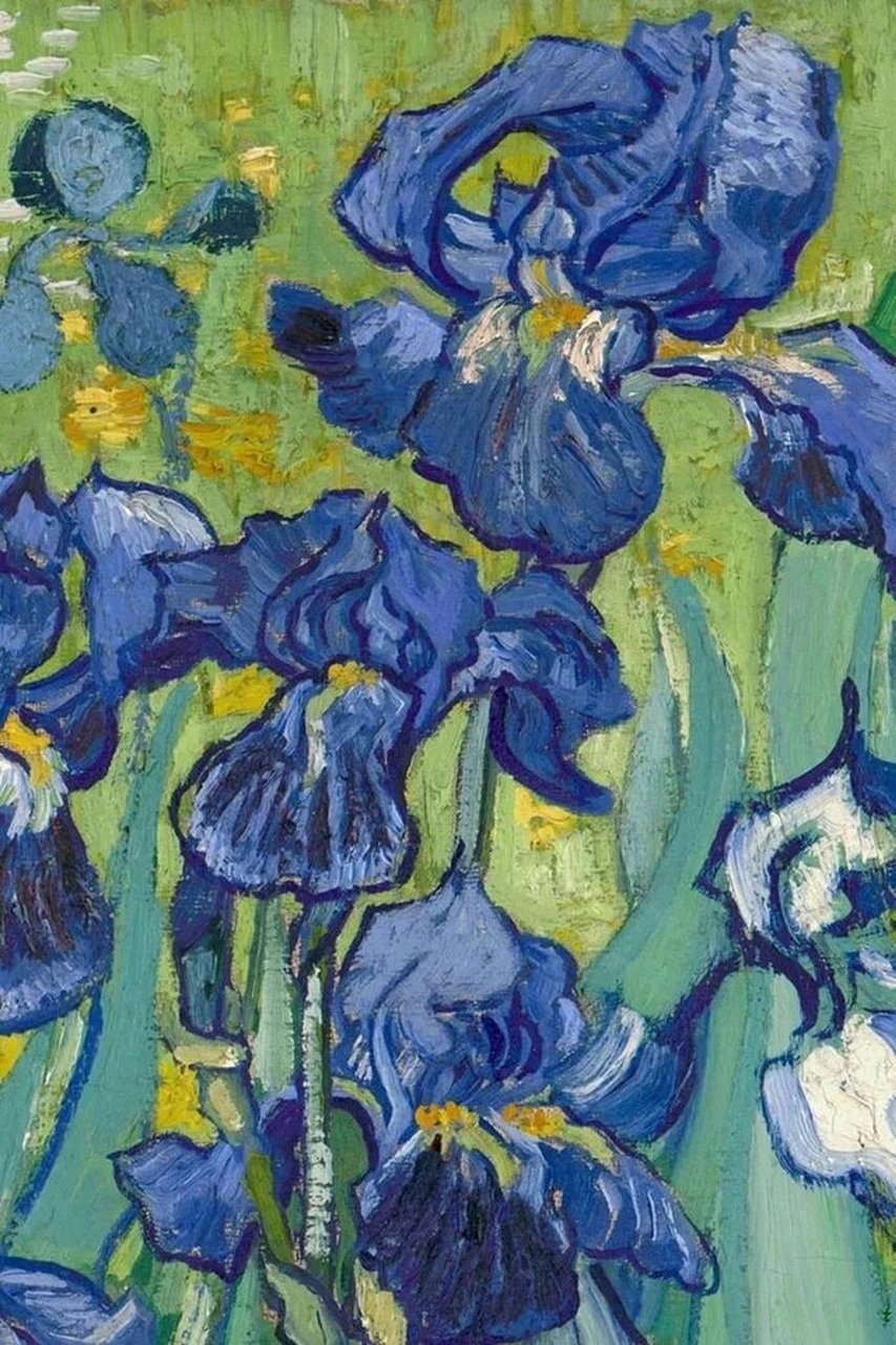 艺术分享|鸢尾花irises梵高  鸢尾花(irises)是荷兰画家文森特·梵高