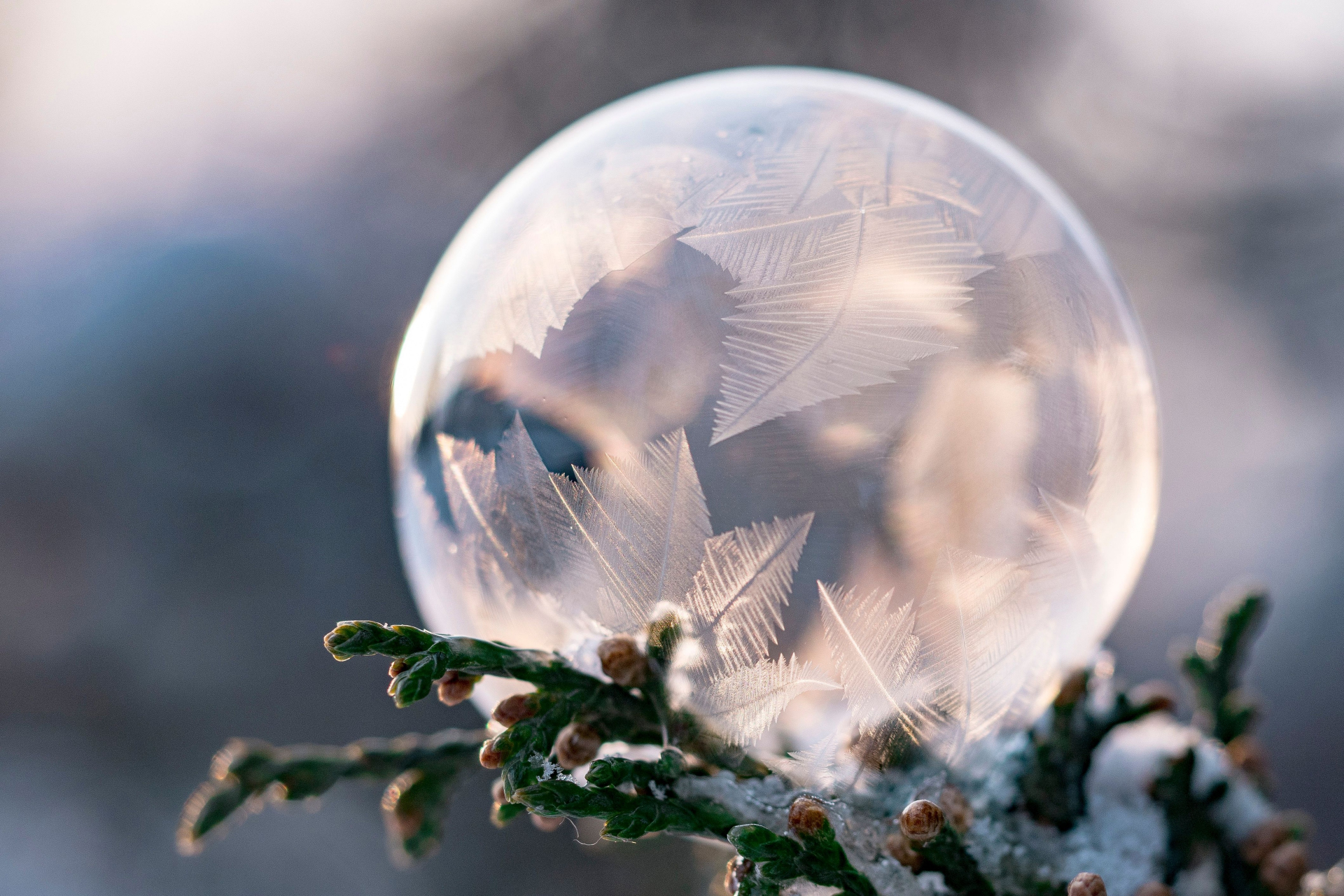 冰晶泡泡唯美壁纸#壁纸