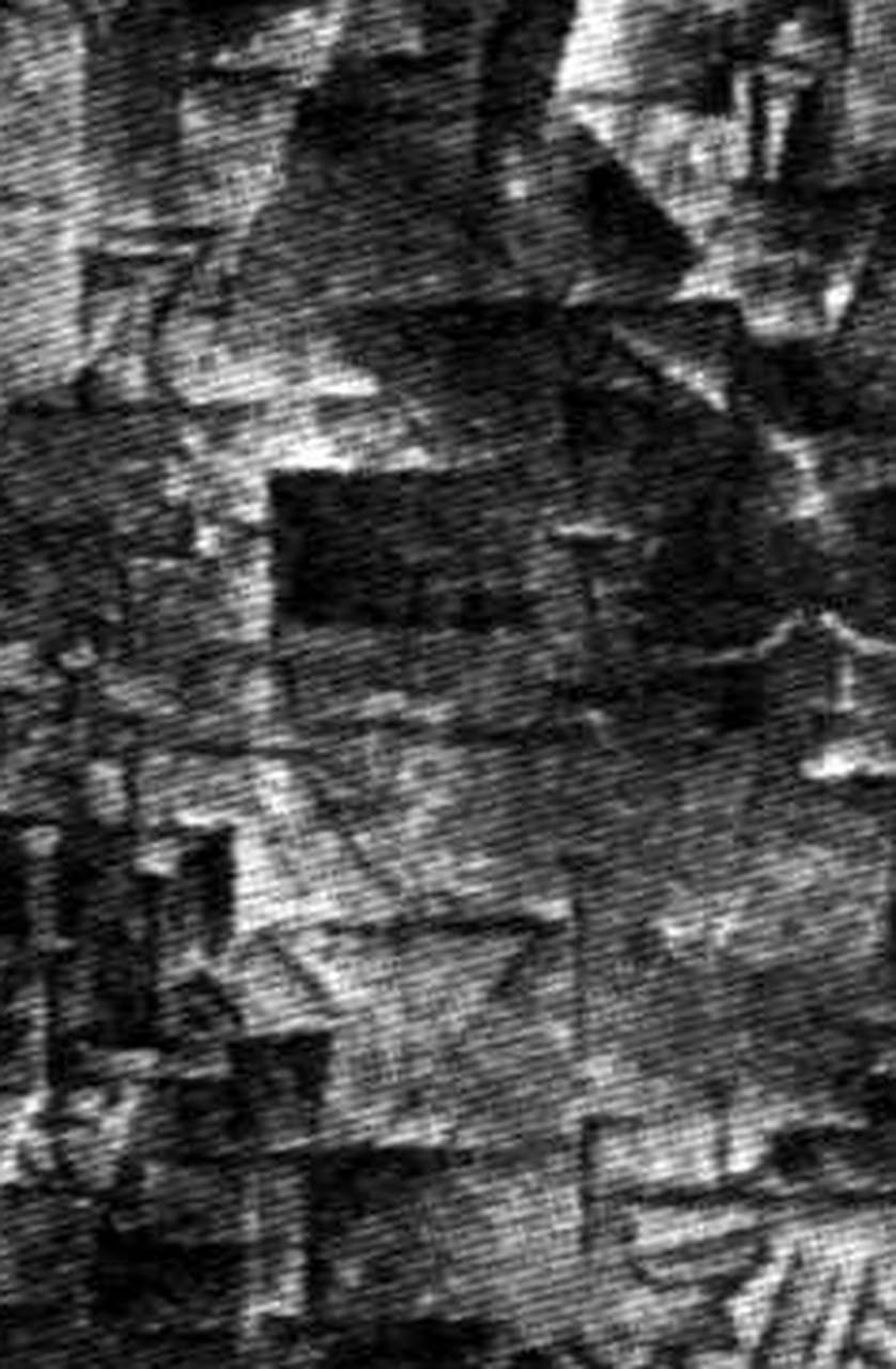 《卡思维勒像》,毕加索作,1910年,油画 这幅《卡思维勒像》,清楚显示