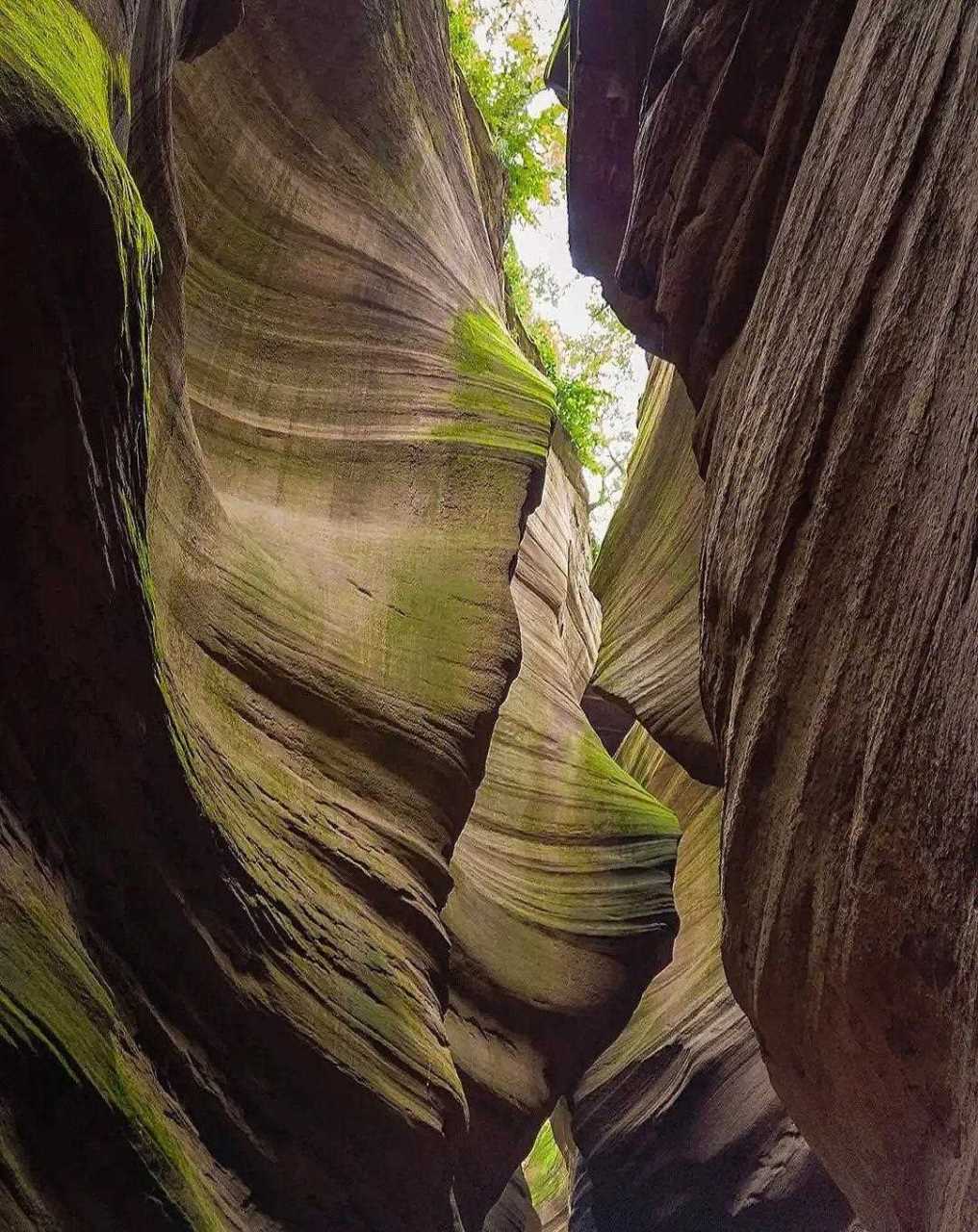 雨岔大峡谷一共有7个峡谷,分别是桦树沟,牡丹沟,一线天,蛇河沟,凤凰沟