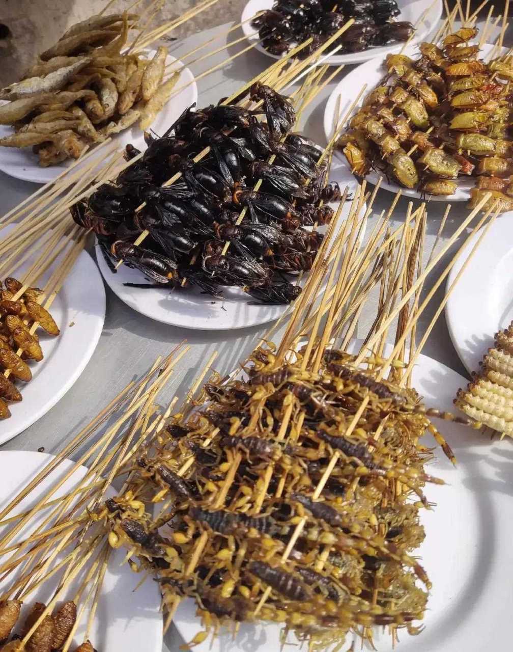 云南傣族的昆虫宴,看这就后怕吃下去需要多大勇气啊![二哈]