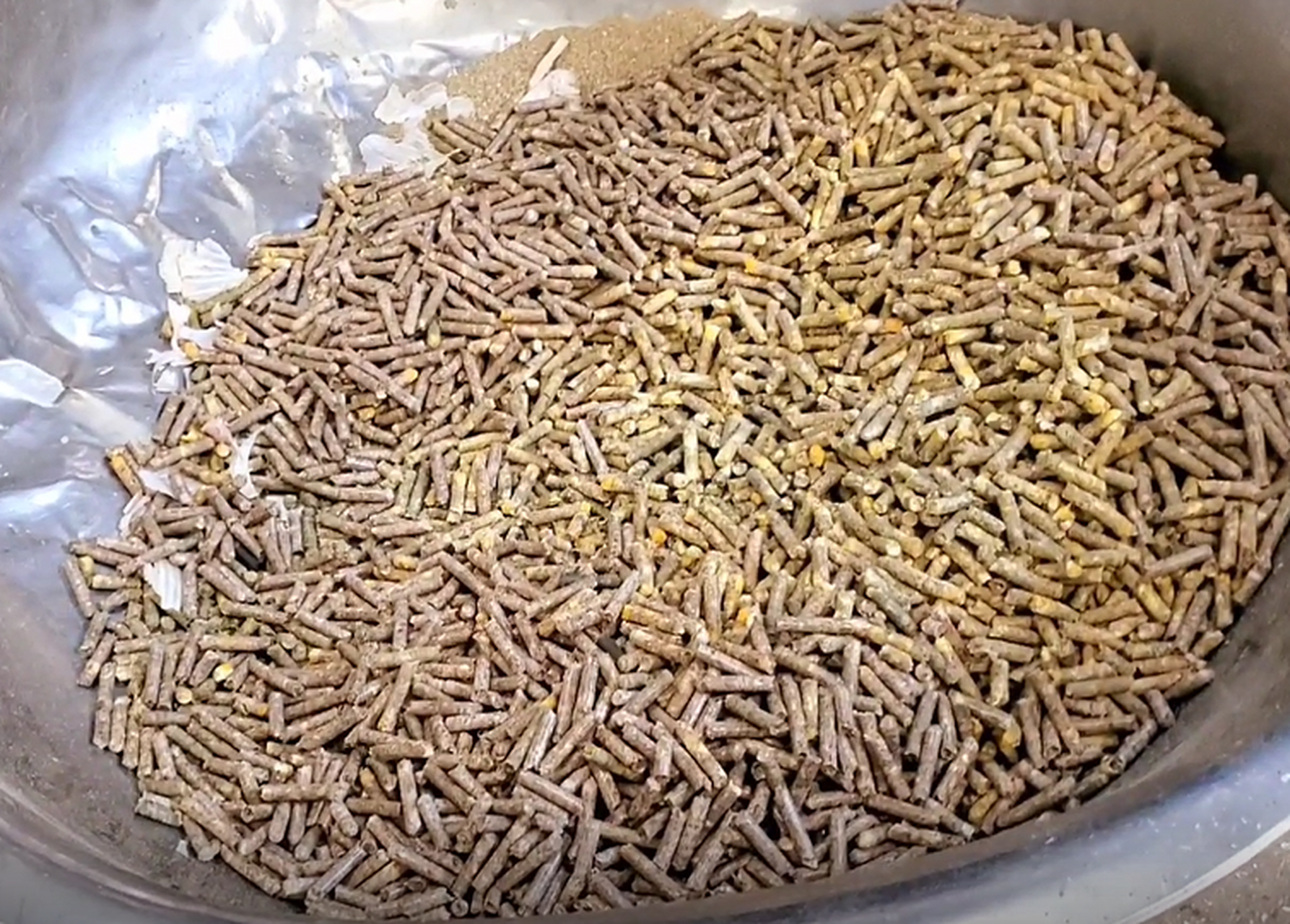 三农养殖业# #饲料颗粒机# 大蒜皮大蒜秸秆,能不能造饲料颗粒?