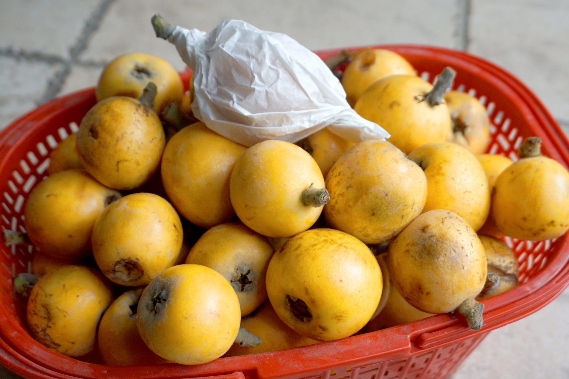 成都龙泉驿枇杷#  五月,成都龙泉驿的大五星枇杷大量上市了.