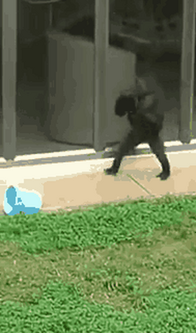 猩猩委身屋檐下,也无法躲雨 ## 有些生气了,将桶扔远一点,算了,还是找