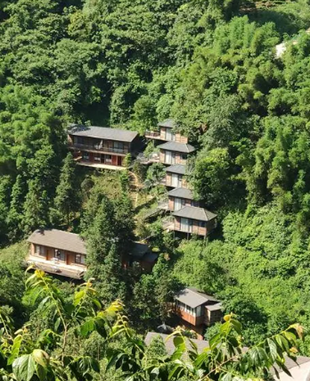 云峰茶谷位于大竹县铜锣山中段团坝镇,因云峰寨而得名.