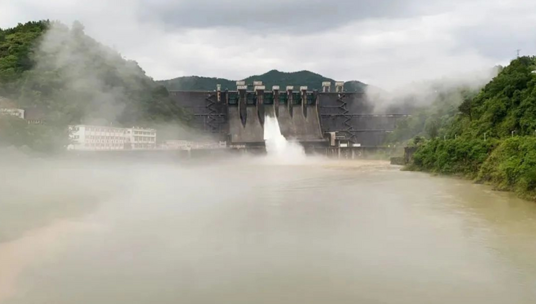 5月份以来,东江上游及龙川县持续强降雨,枫树坝水库蓄水位上涨迅猛