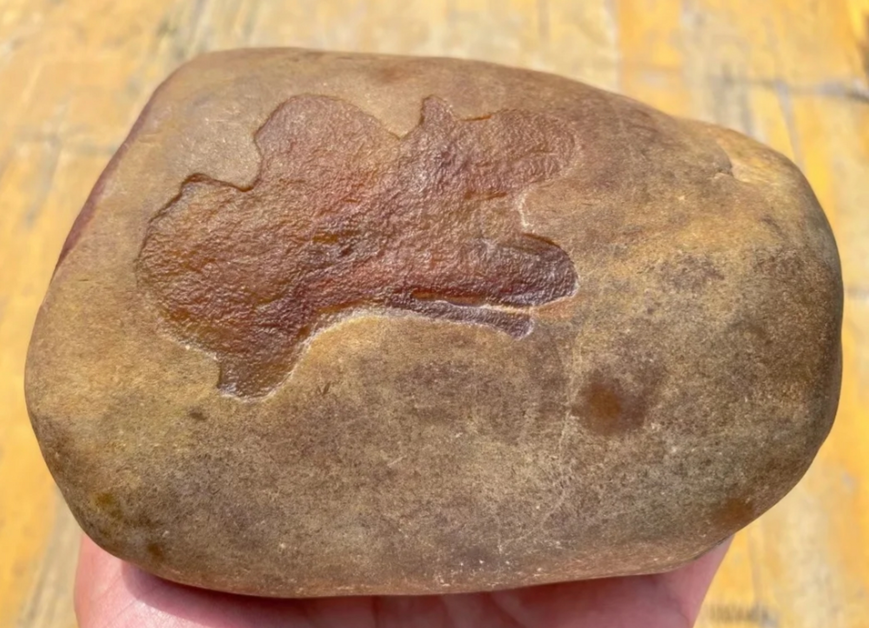 翡翠原石##点击头像看直播# 解析,"翡翠"狗屎底,指翡翠的地张值地