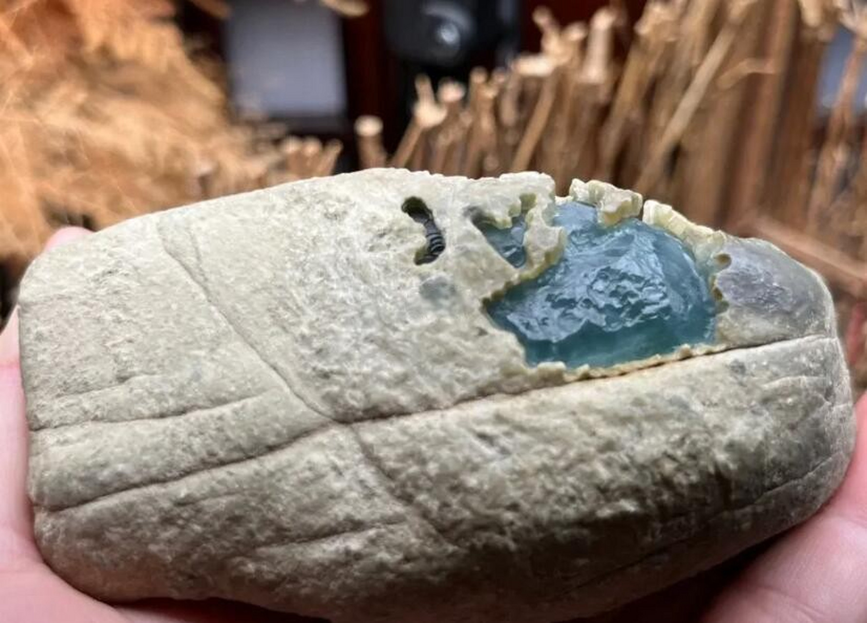 翡翠原石##点击头像看直播# 木那天空蓝戒面料,重525克,厚皮但是幕
