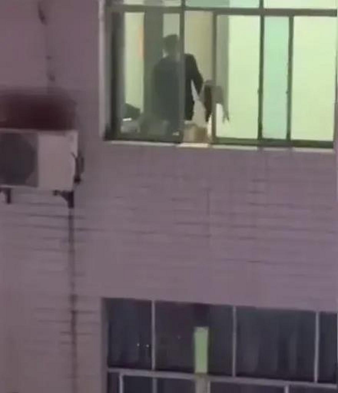 网友:我是单身狗,每天看对面的节目
