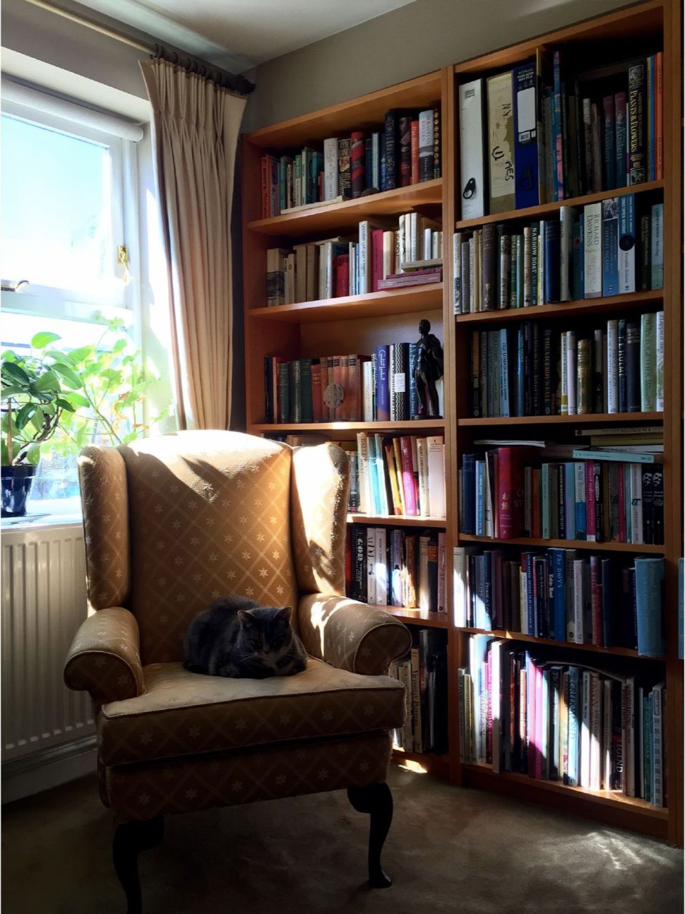 62岁费翔豪宅啥样97全屋奢华精致太酷辣93 随着电影《封神》大爆