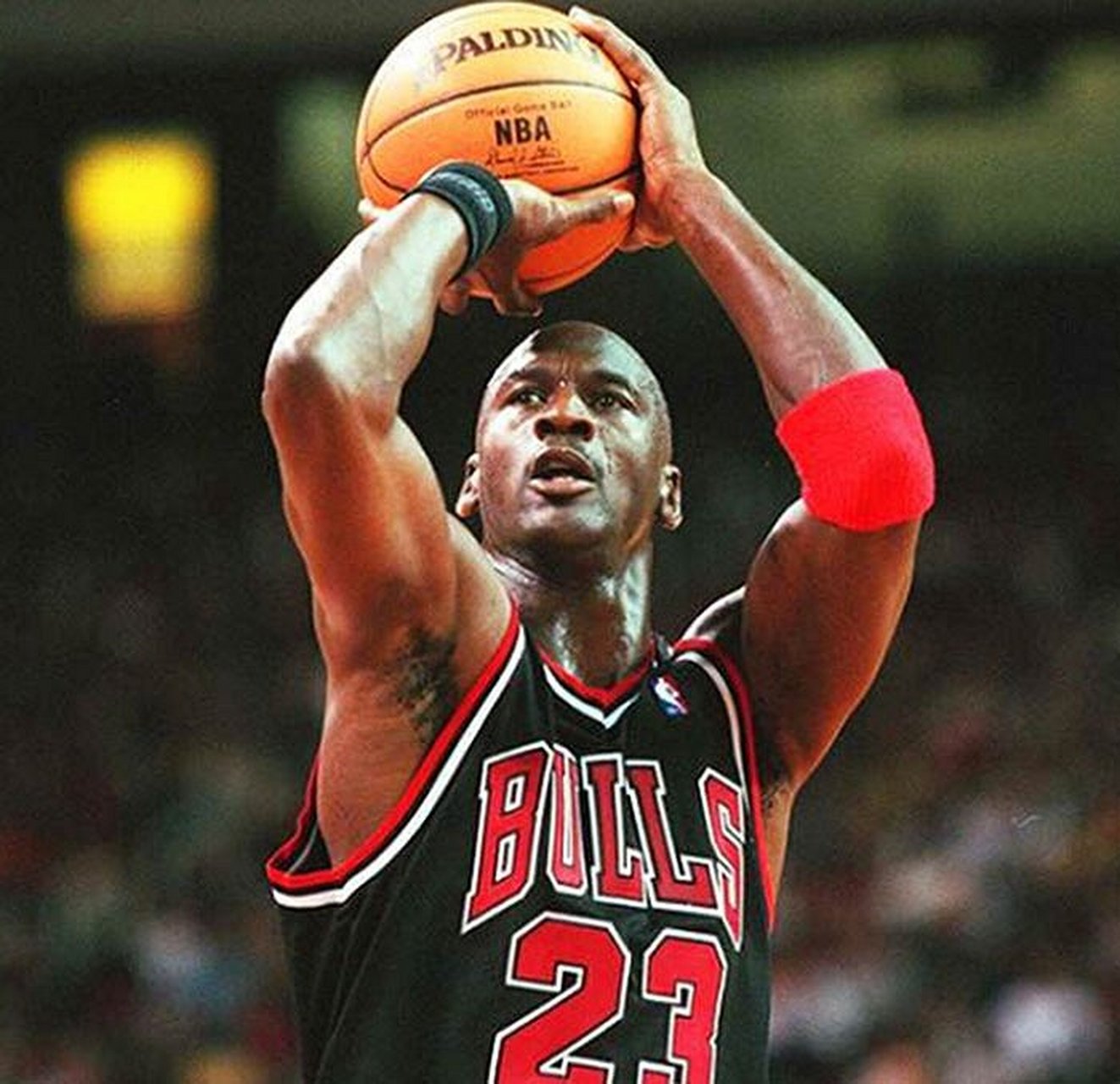 芝加哥公牛队,夏洛特山猫队标志人物 - 迈克尔 乔丹