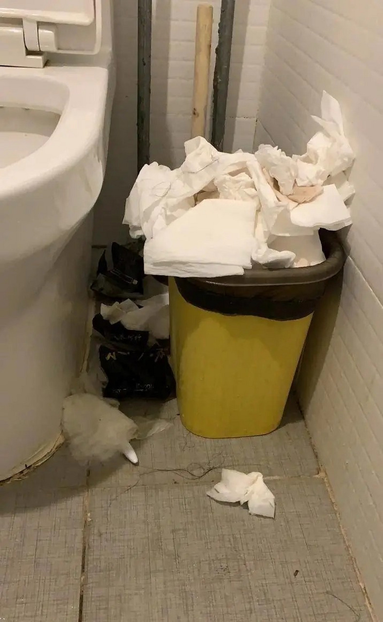 卫生纸属于什么垃圾图片
