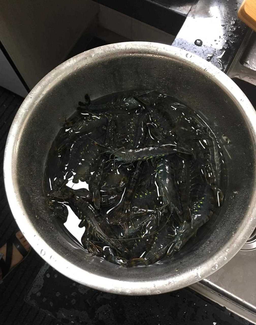 这虾没上市时,网上卖158元一斤,现在40一斤!