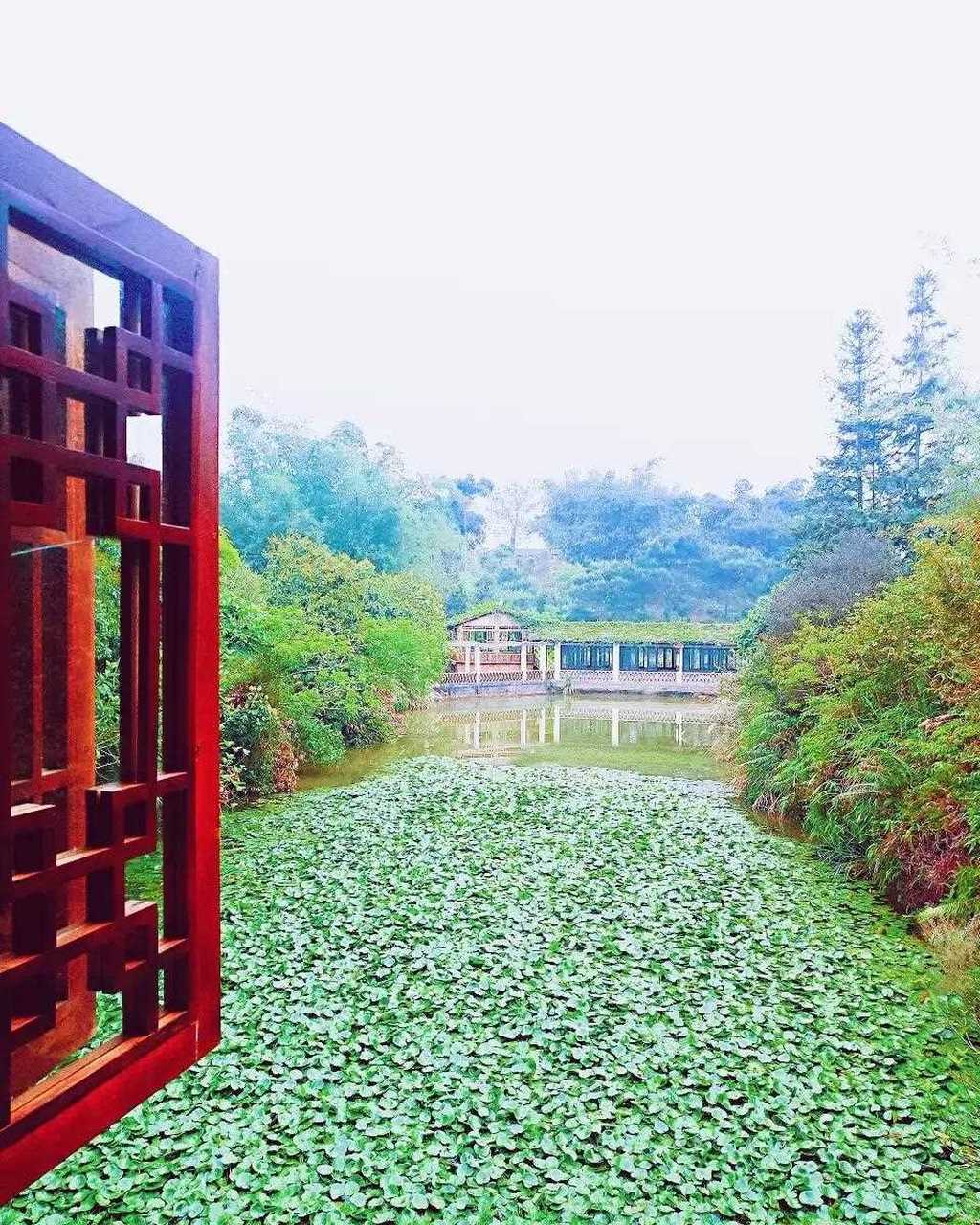 [cp]昨天下午抵达广西玉林后,去了龙泉湖休闲生态园和牛塘人家休闲