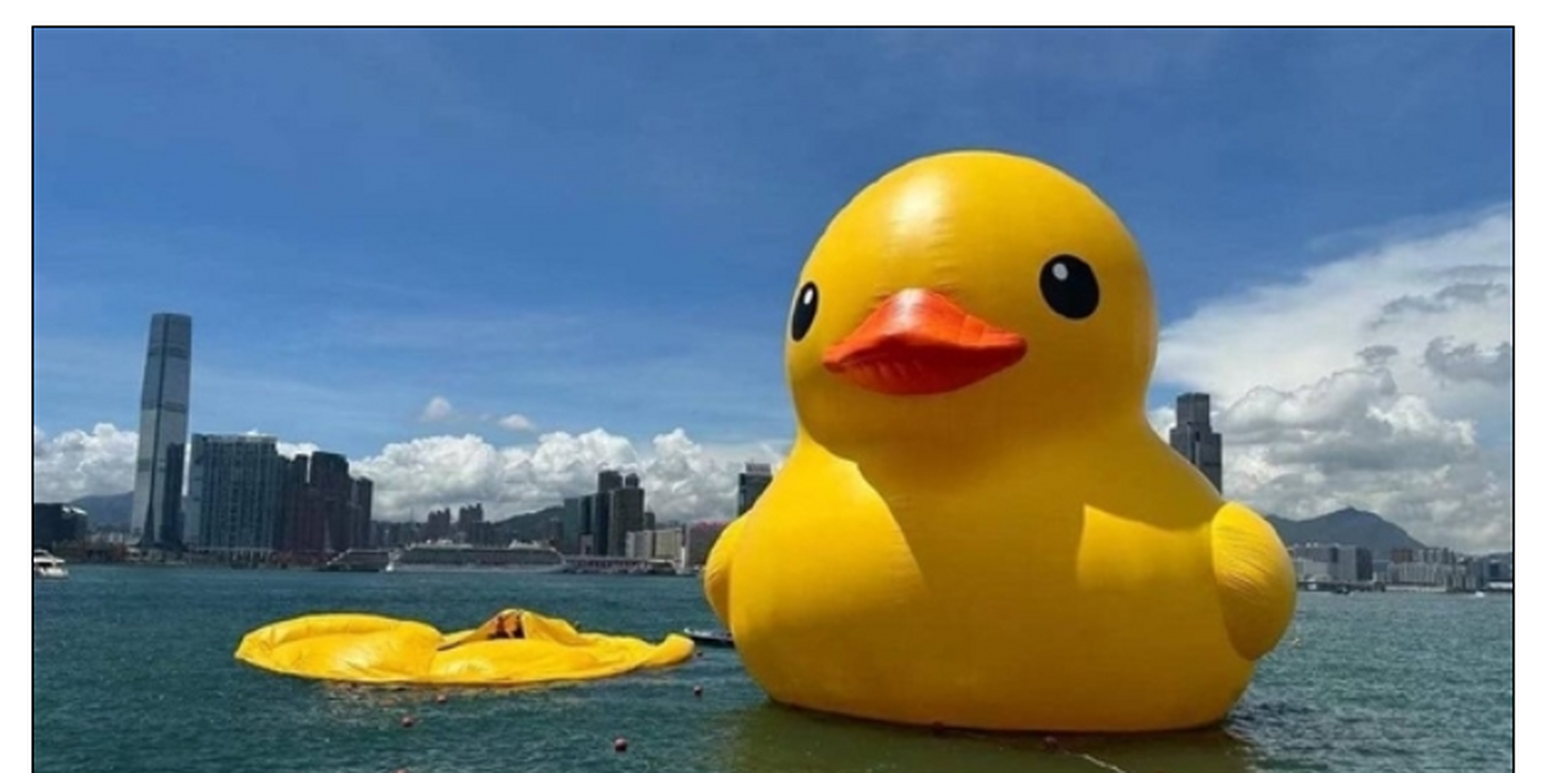 "大黄鸭"阔别10年重游香港,其中一只仅剩"鸭皮",怀疑是天太热"晒爆"