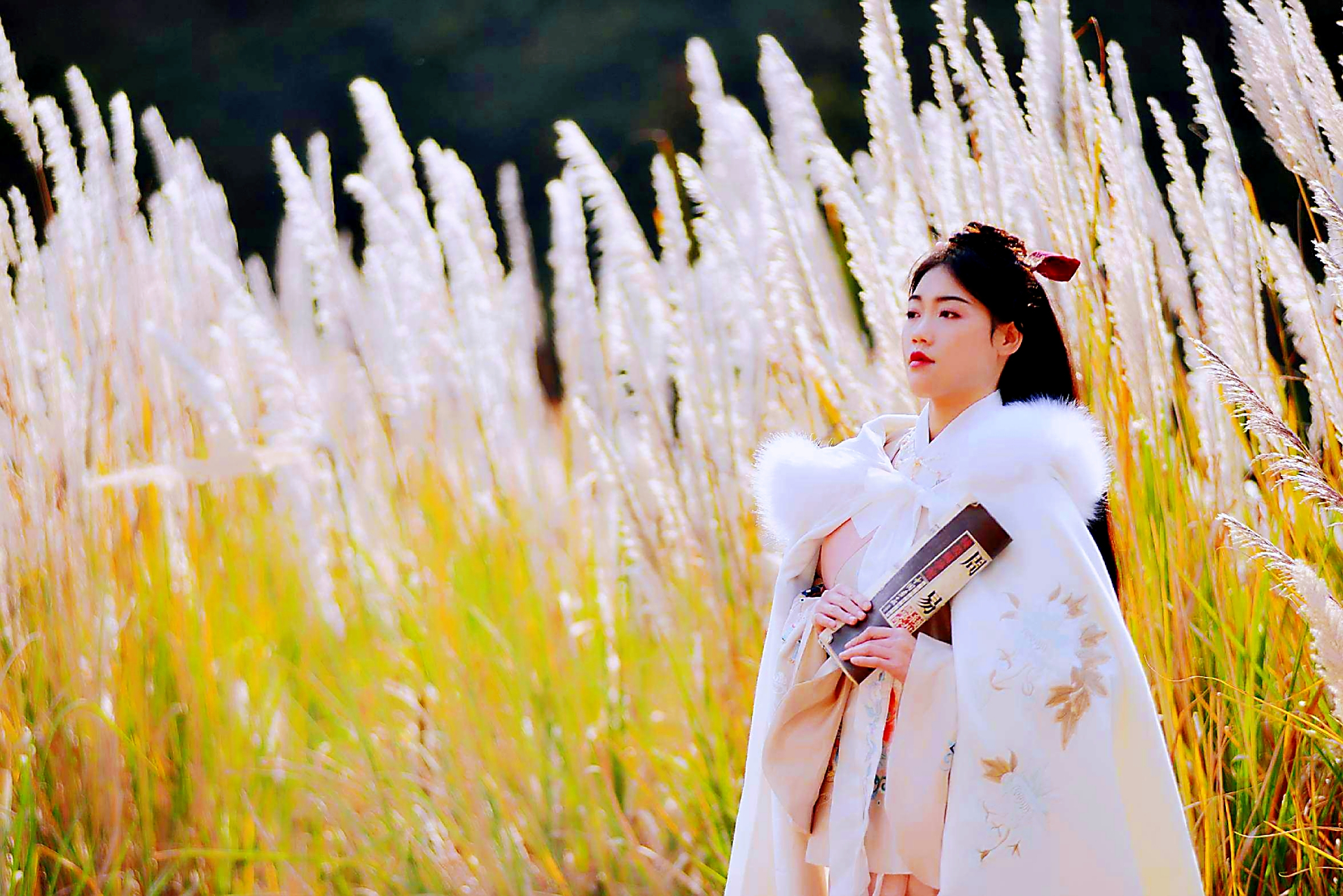 诗经云:"蒹葭苍苍,白露为霜.所谓伊人,在水一方.溯迴从之,道阻且长.