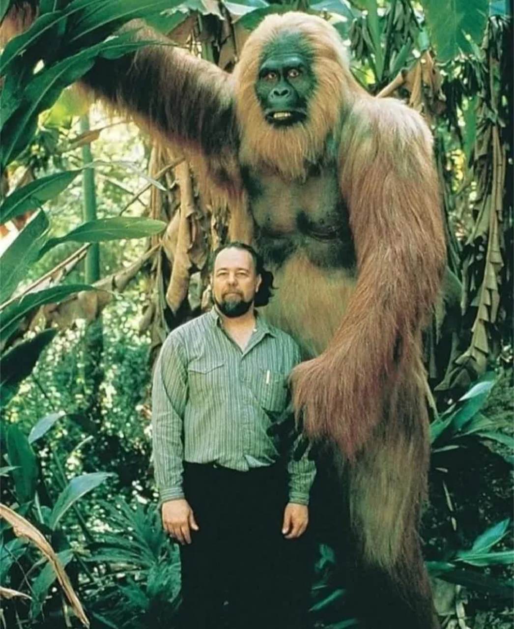 真的有这么大的猿猴吗?[大笑][大笑]#搞笑