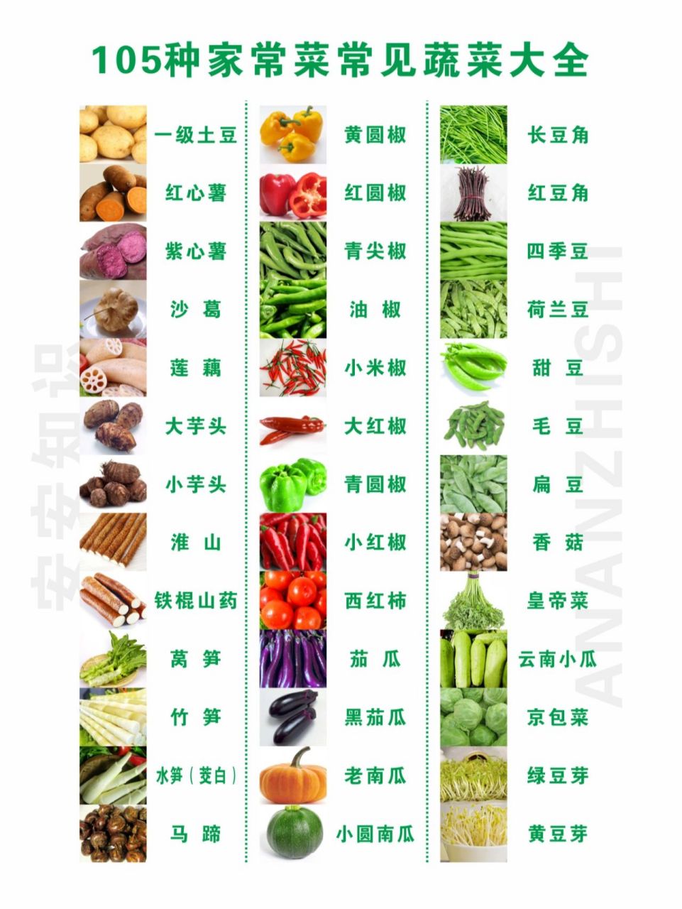 小白学厨先学菜#家常菜[话题]##蔬菜[话题]# #蔬菜分类[话题]##常用