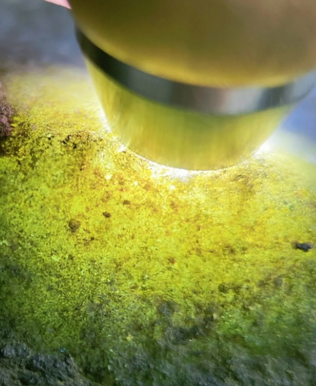 点击头像看直播# #翡翠原石# 油青翡翠的质感如同丝绸一般,光滑而