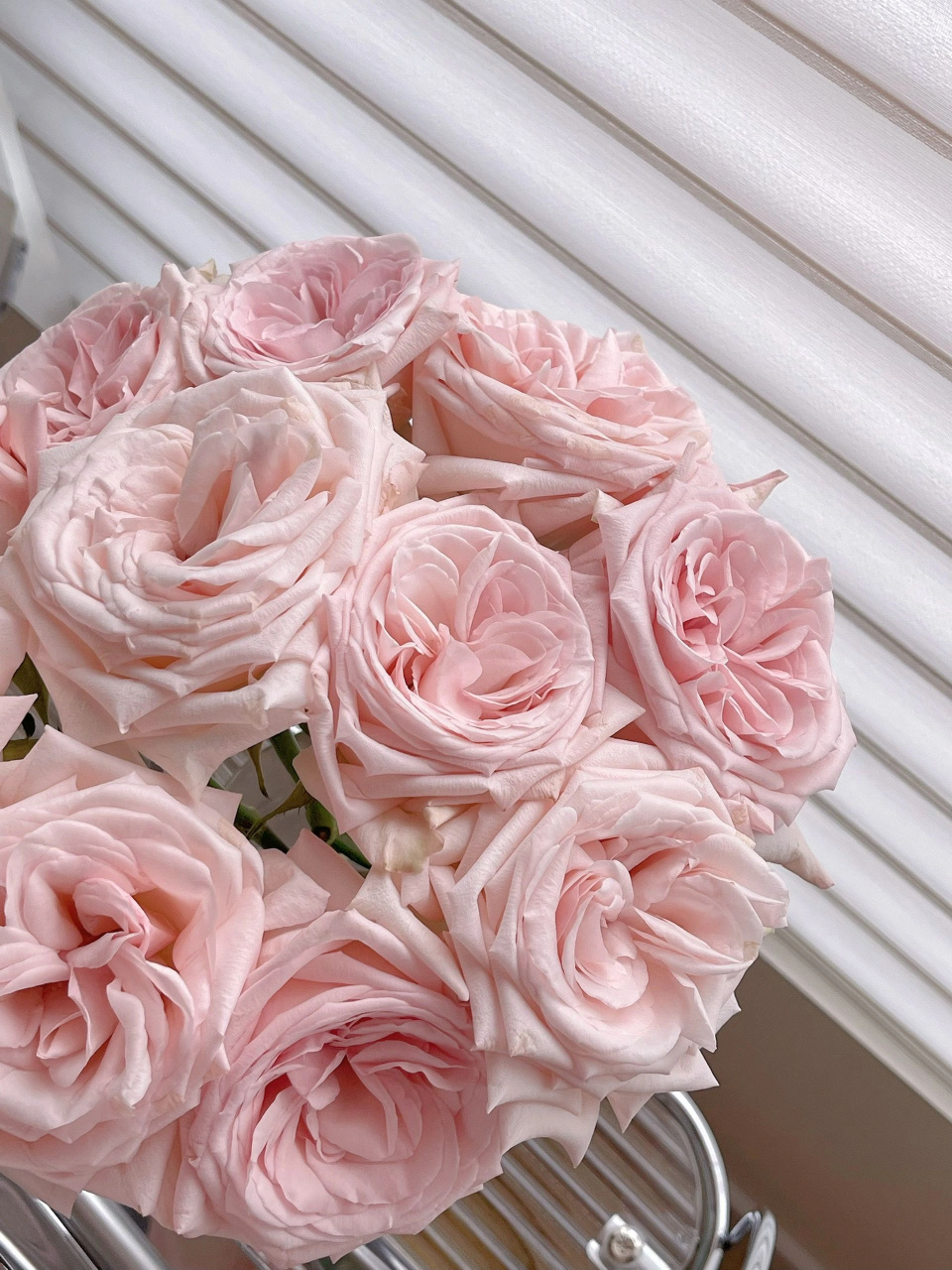 被美丽的事物包围,心情也会变美丽  |粉荔枝玫瑰花语:守护.宠爱.