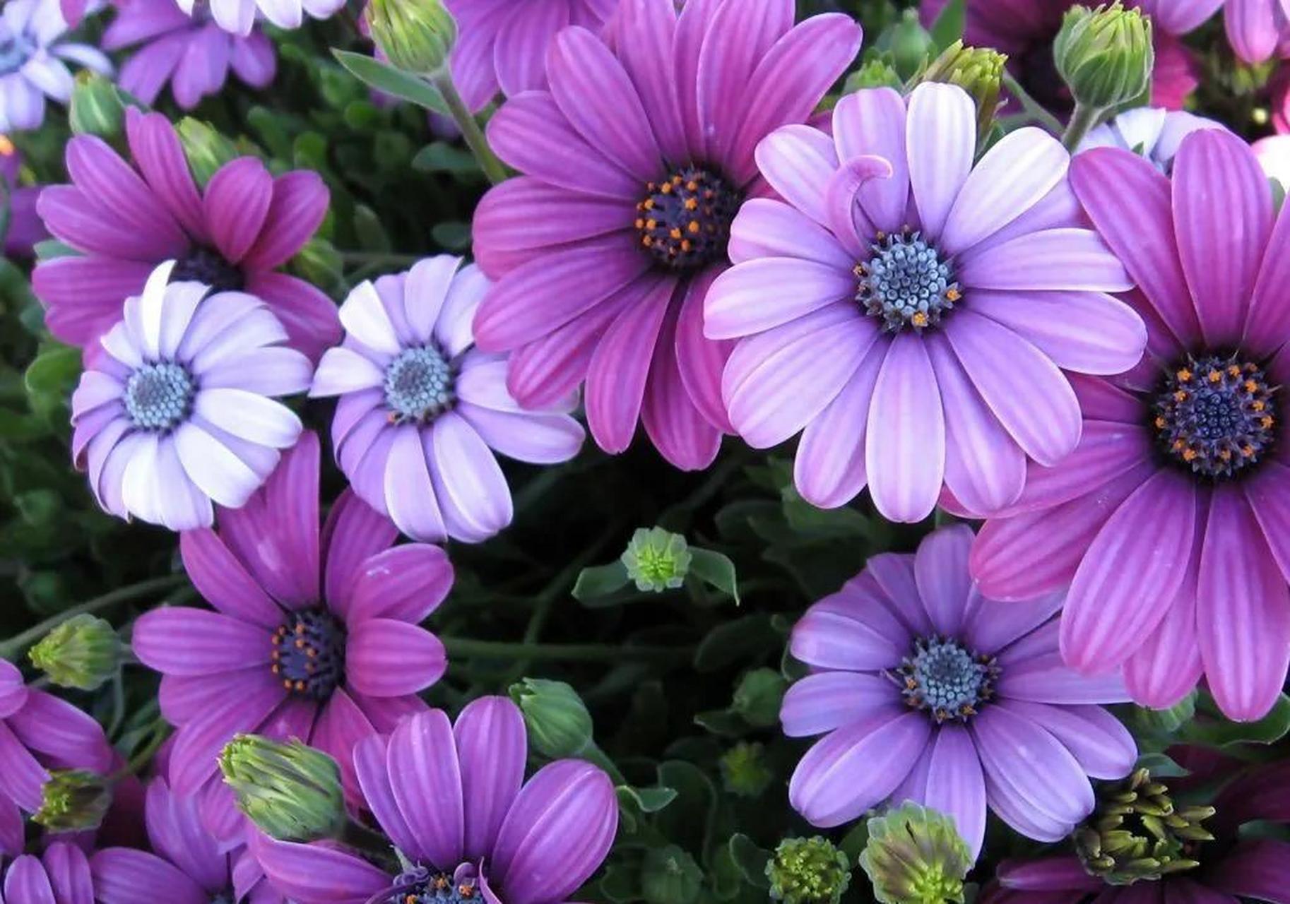 个女校长找到领导说:我身体健康,有丰富的学校管理经验,对学校有星