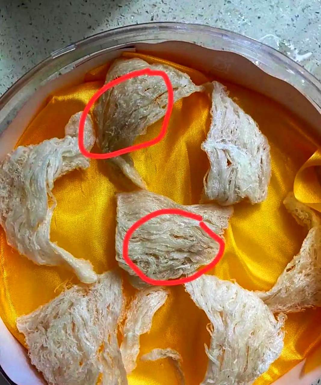 这个燕窝是用胶刷涂上去的,我的闺蜜说的对吗?