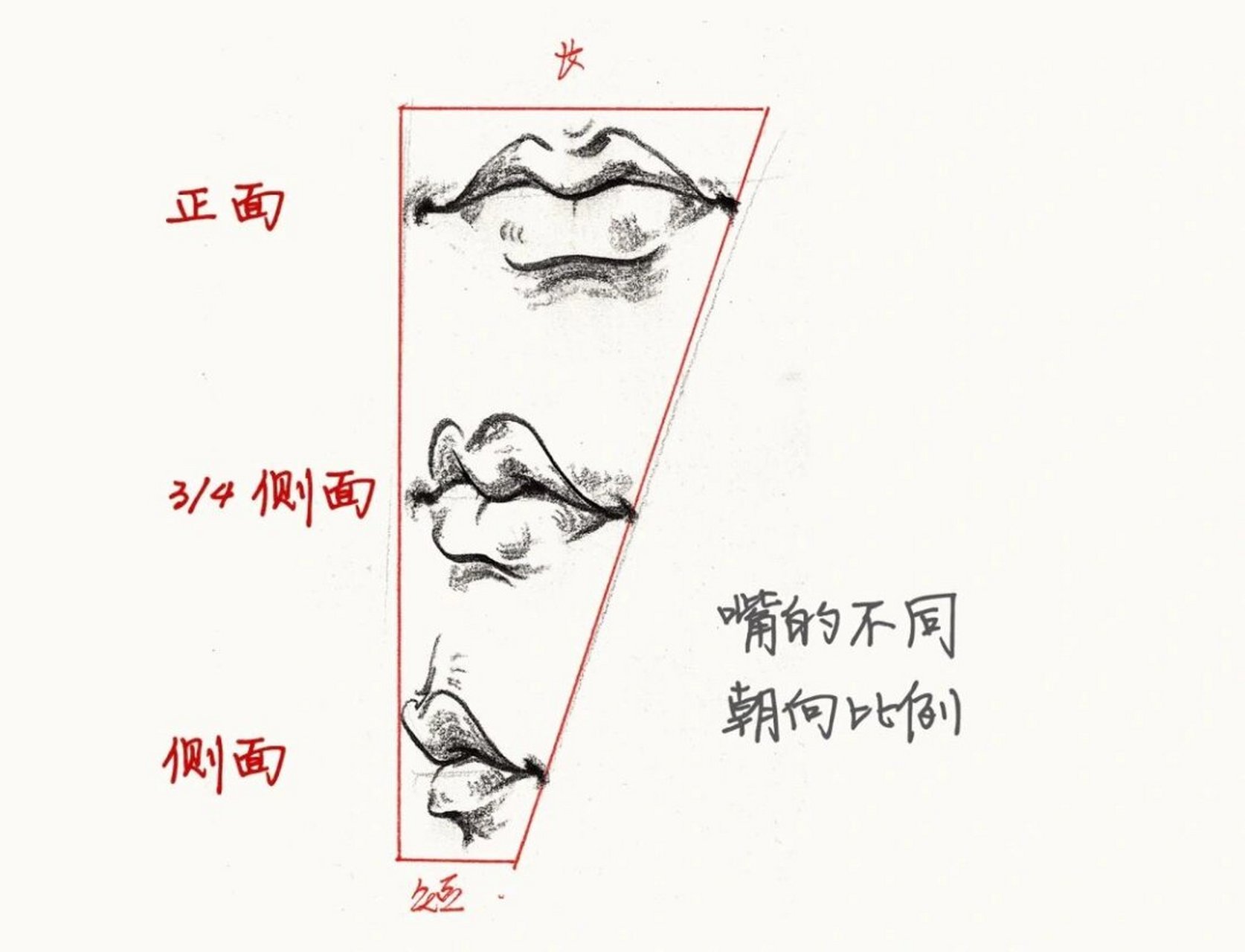 人物速写嘴巴怎么画图片