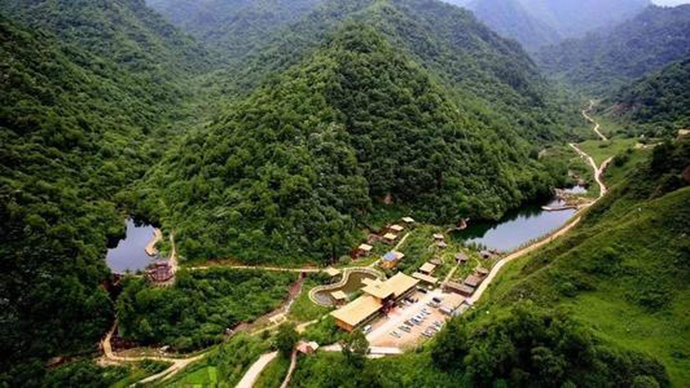 漳县贵清山,从山头到坡地,都被一片片深深浅浅的绿色覆盖,行走其中