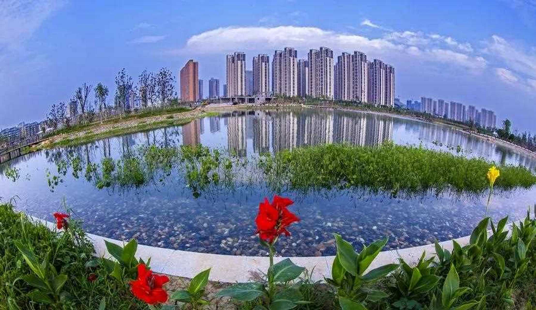 最美的襄阳紫贞公园!图片分享一下给友们!