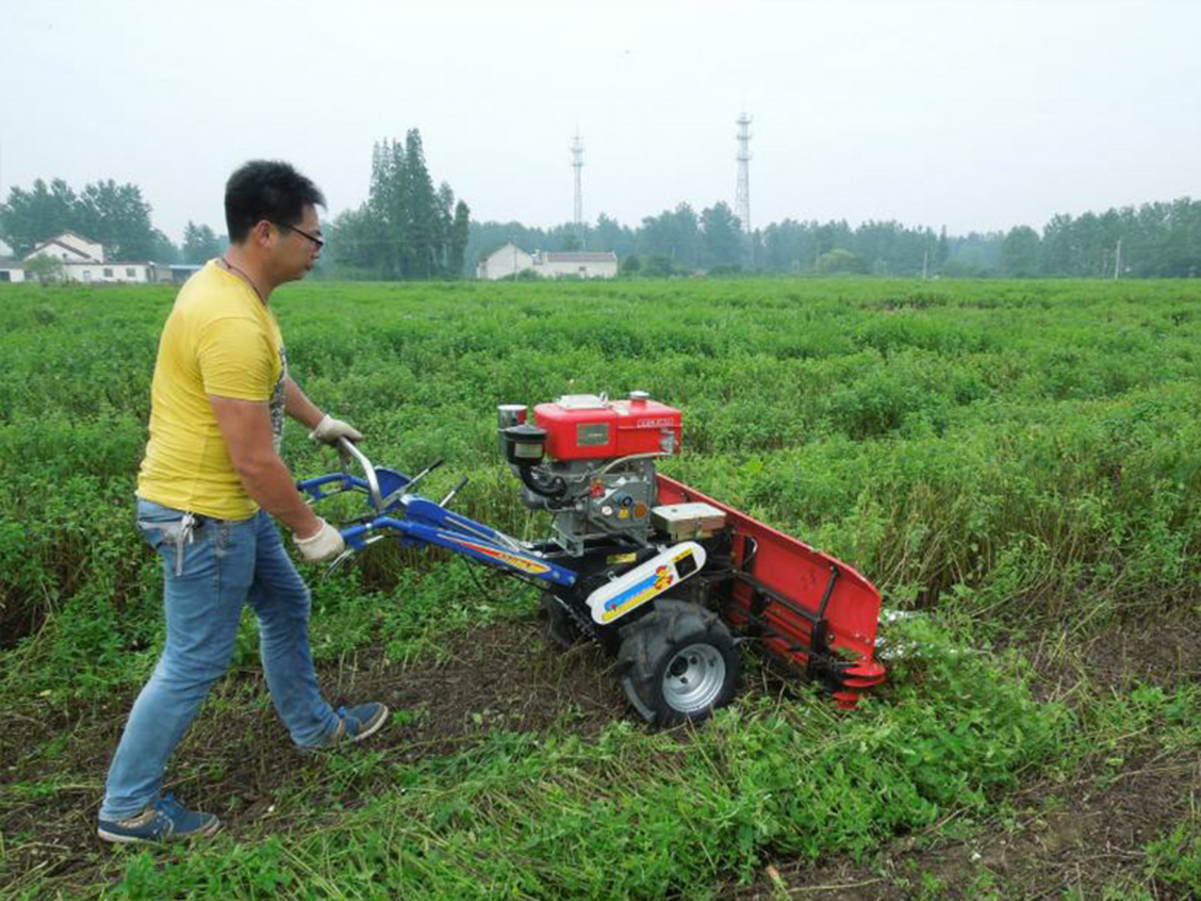 韭菜收割機# 蠶豆收割機 薄荷收割機 日收20畝 @鹽城市新明悅恍械