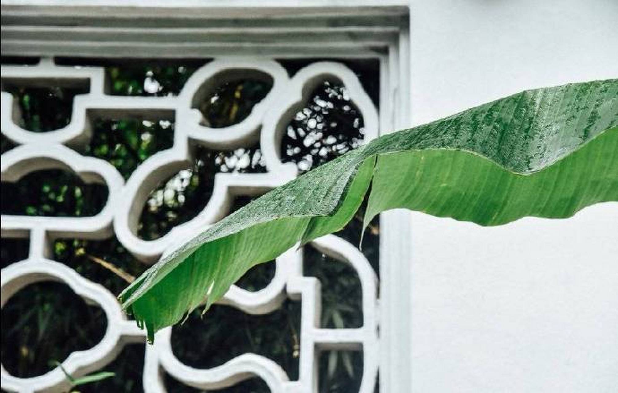 冯梦华《宋六十一家词选·序》谓:"淮海,小山,古之伤心人也.