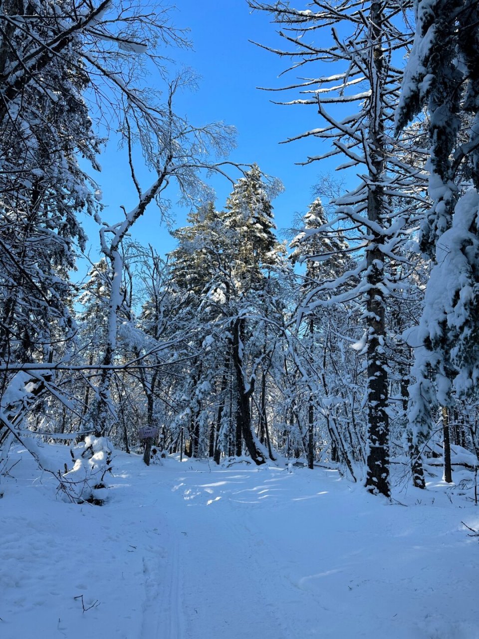 长白山雪景 摄影图片