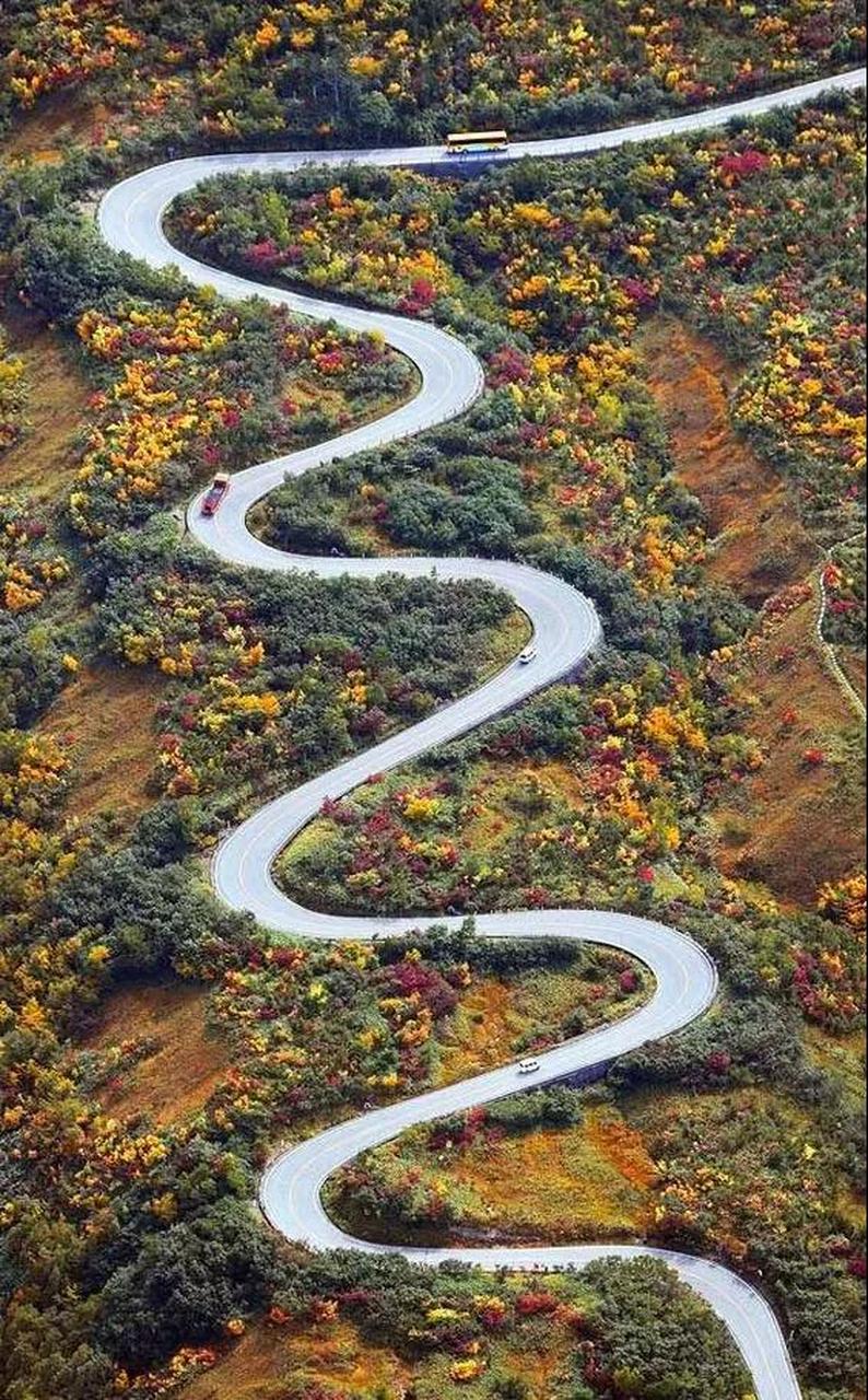 2015年8月,陈行甲把巴东县县长刘冰送进监狱后,问刘冰:"你为何这么