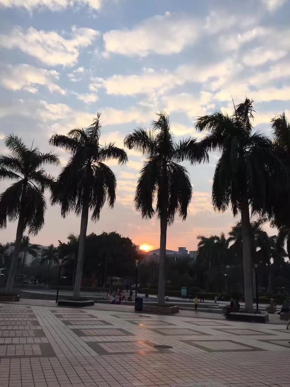 顺德容桂花溪公园. #我想回家的理由