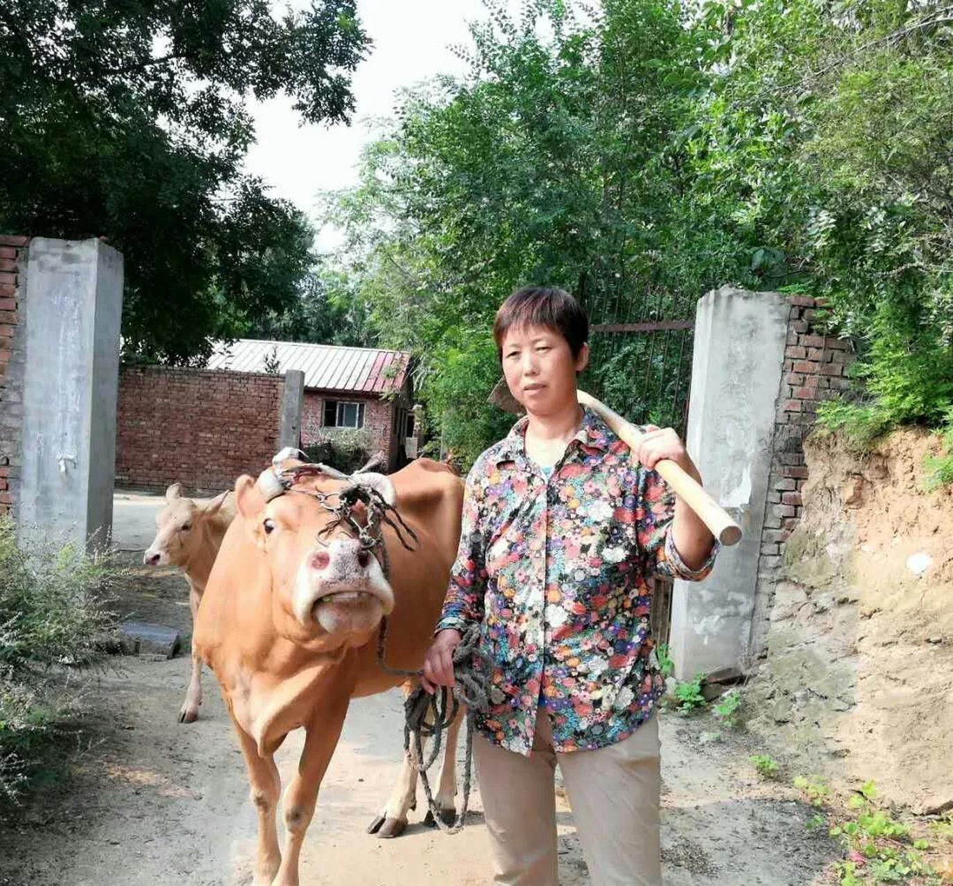 农村傻大妮,百万粉丝大网红,年挣百万,河北邢台人,农哥团队主力之一