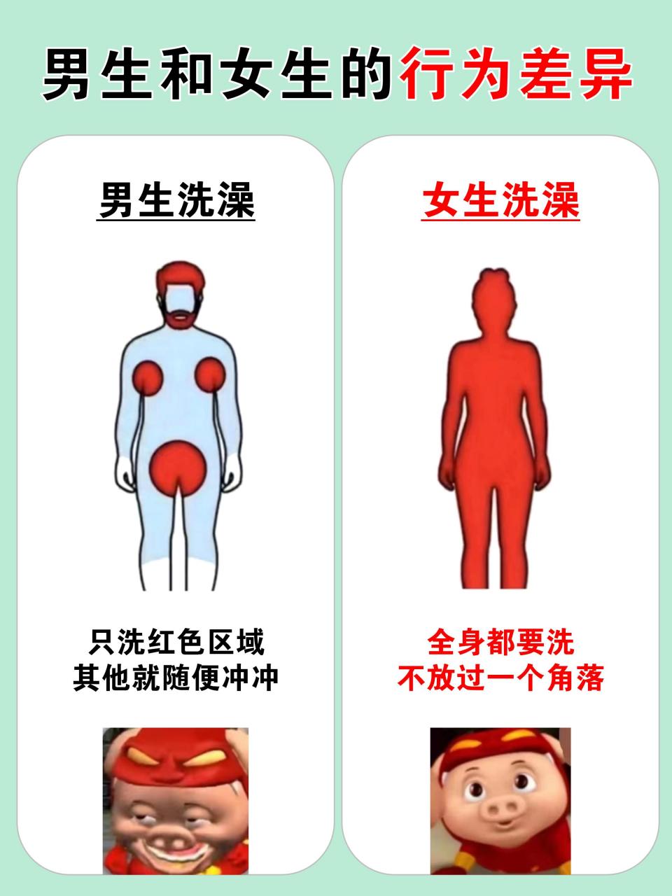 男女生差异图片