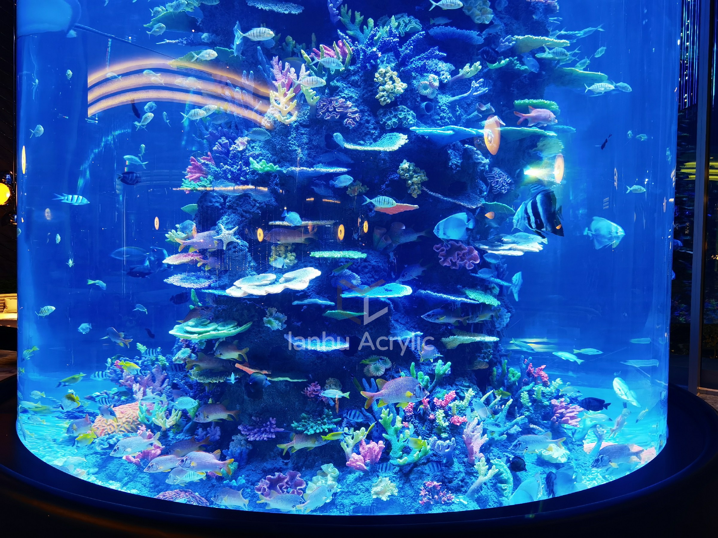 以下是一些关于大型亚克力鱼缸的相关信息:  1.