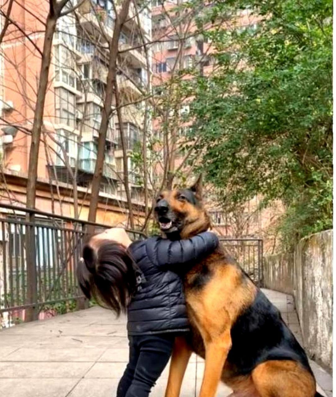 當我帶著女兒結婚時,我知道我的狗子一定會非常捨不得我們.