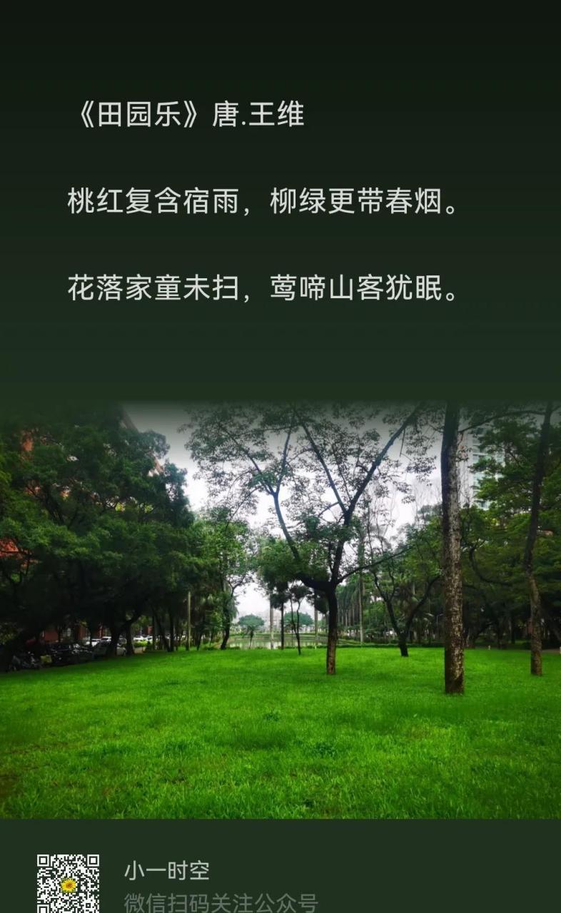 【诗情画意】田园乐.王维  #天天古诗词