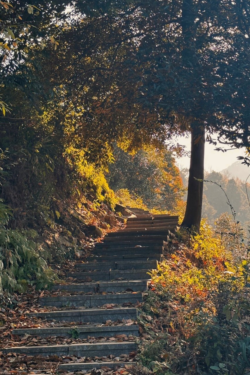 杭州午潮山图片