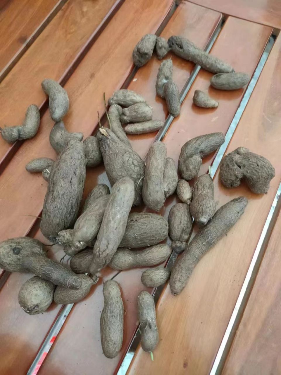 不管怎么样,我就认为是狗粑粑