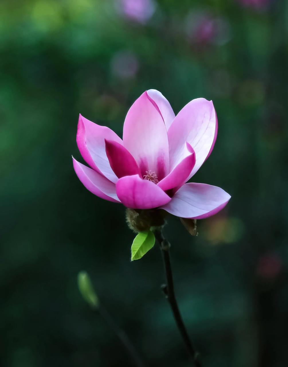 人如果没有实力,就要学会闭嘴.