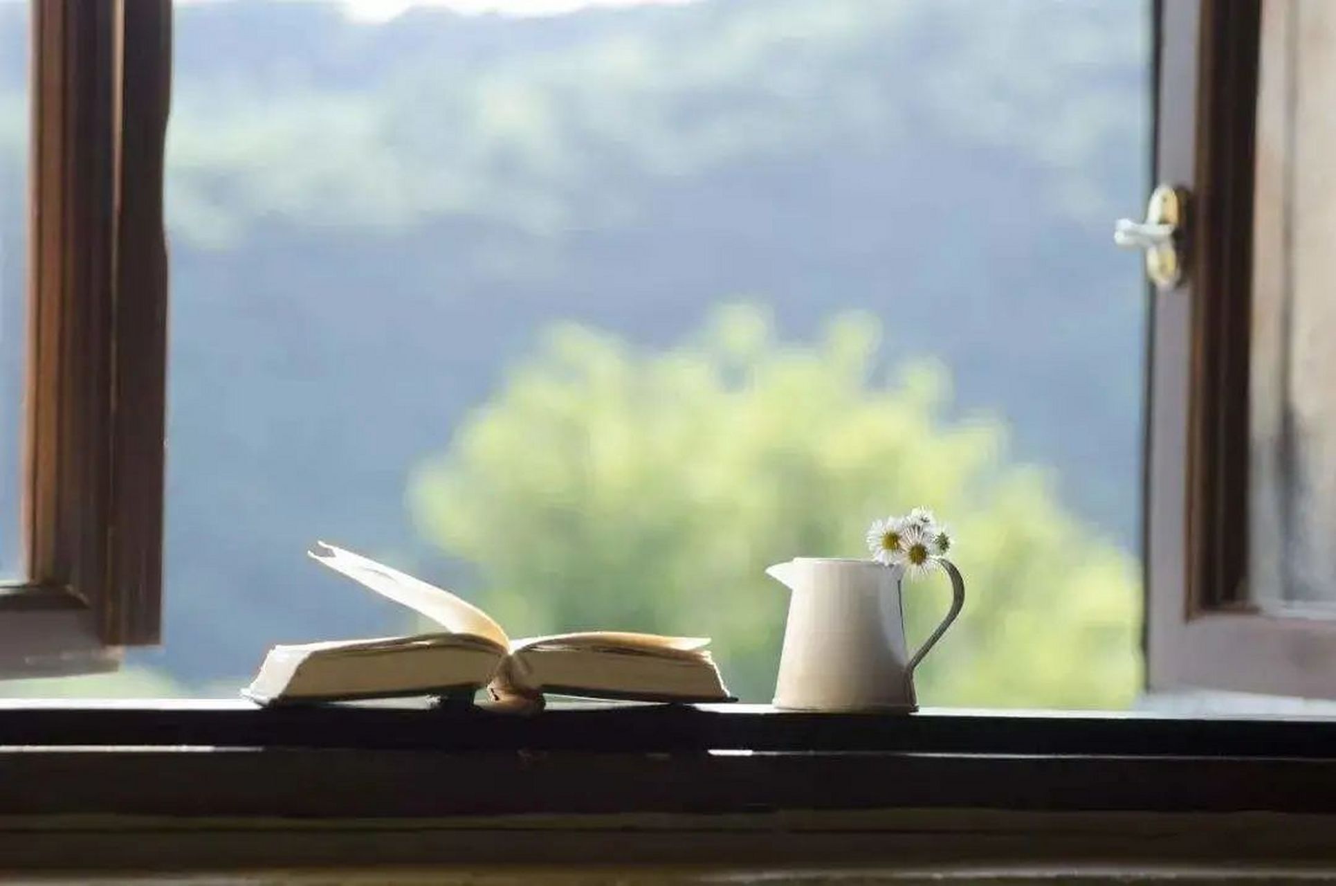 视野决定格局,格局成就人生  人们常说,我们可以用一年学会说话,但是