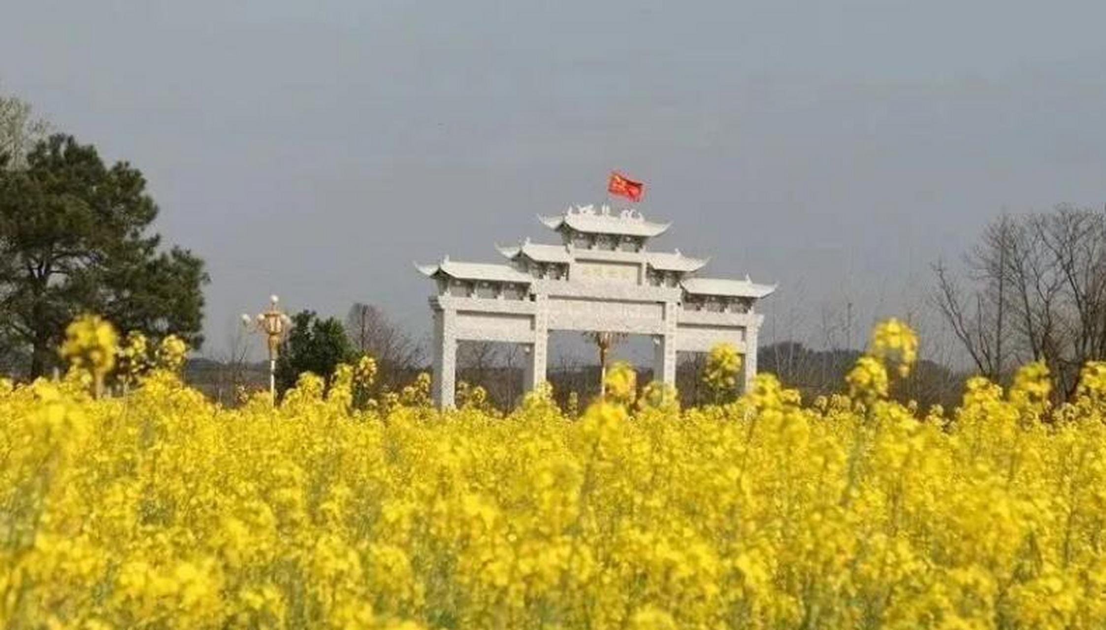 该镇为全省油菜种植示范基地,而吴家店村是秋溪油菜花主要观赏点